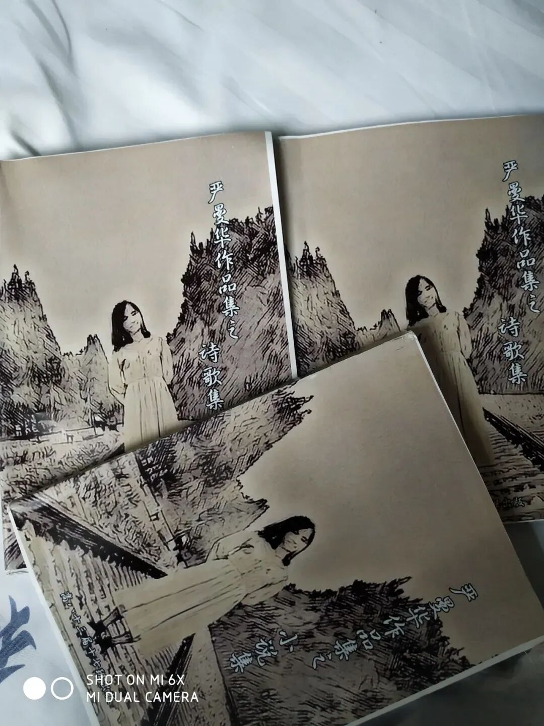 雨燕奖学金