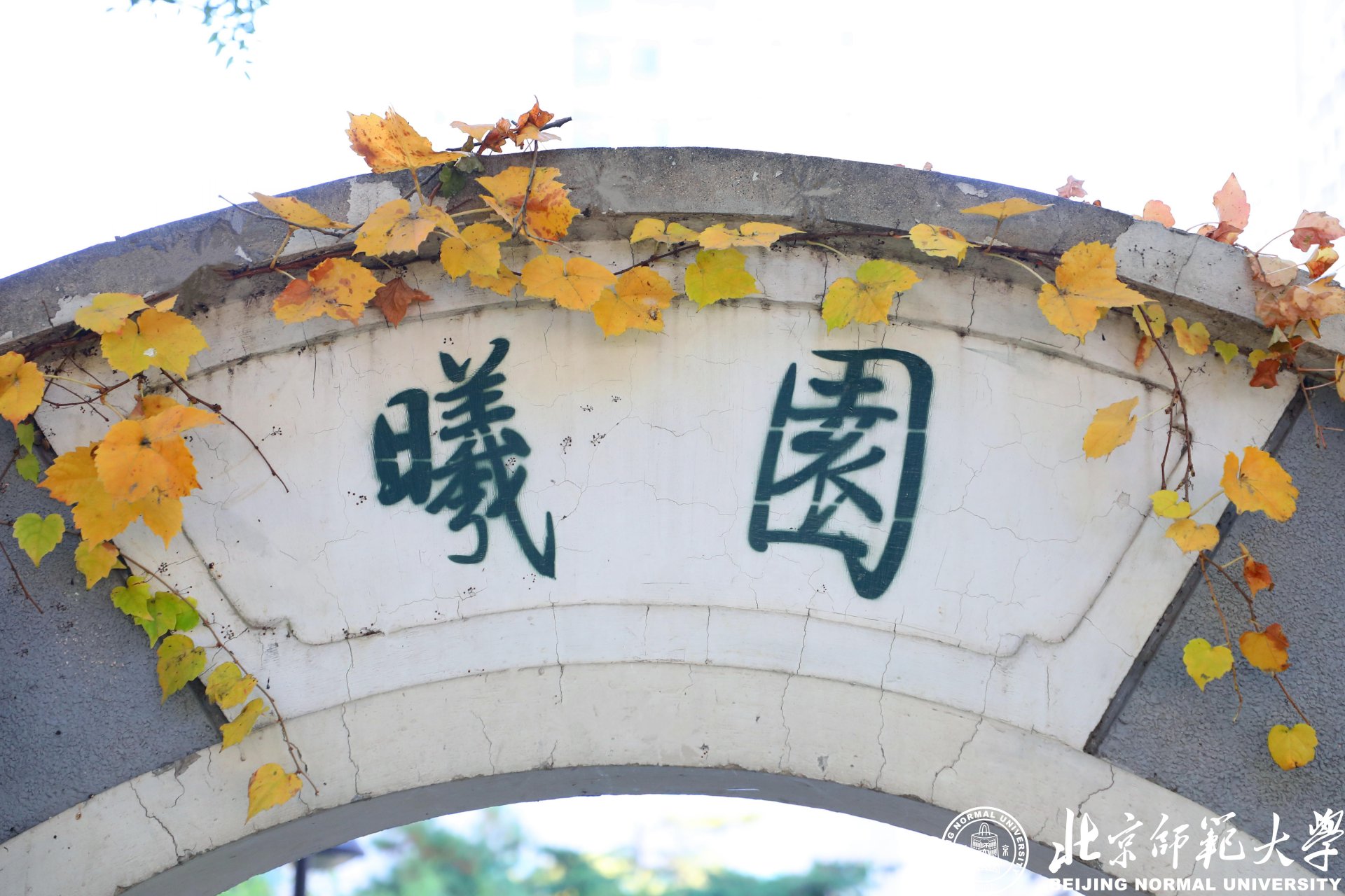 永利app官网登录入口手机版登录