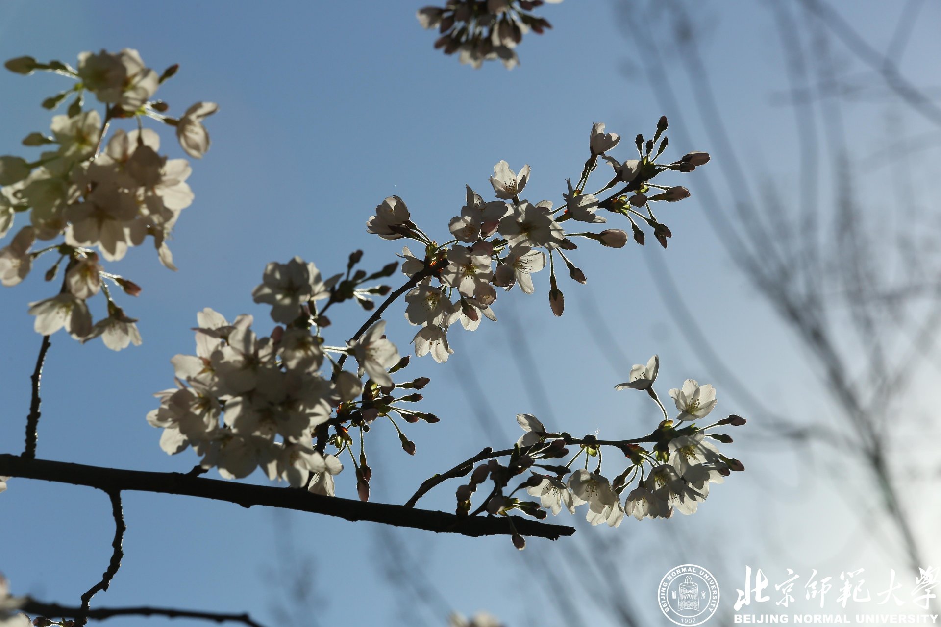 继续了解教师们用细腻的心灵去感受北师