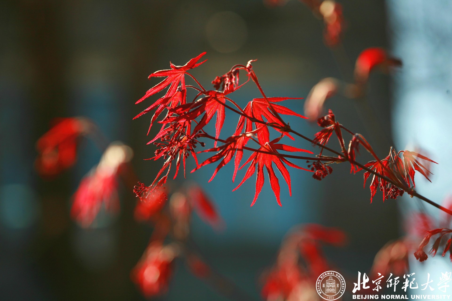 永利欢乐娱人城