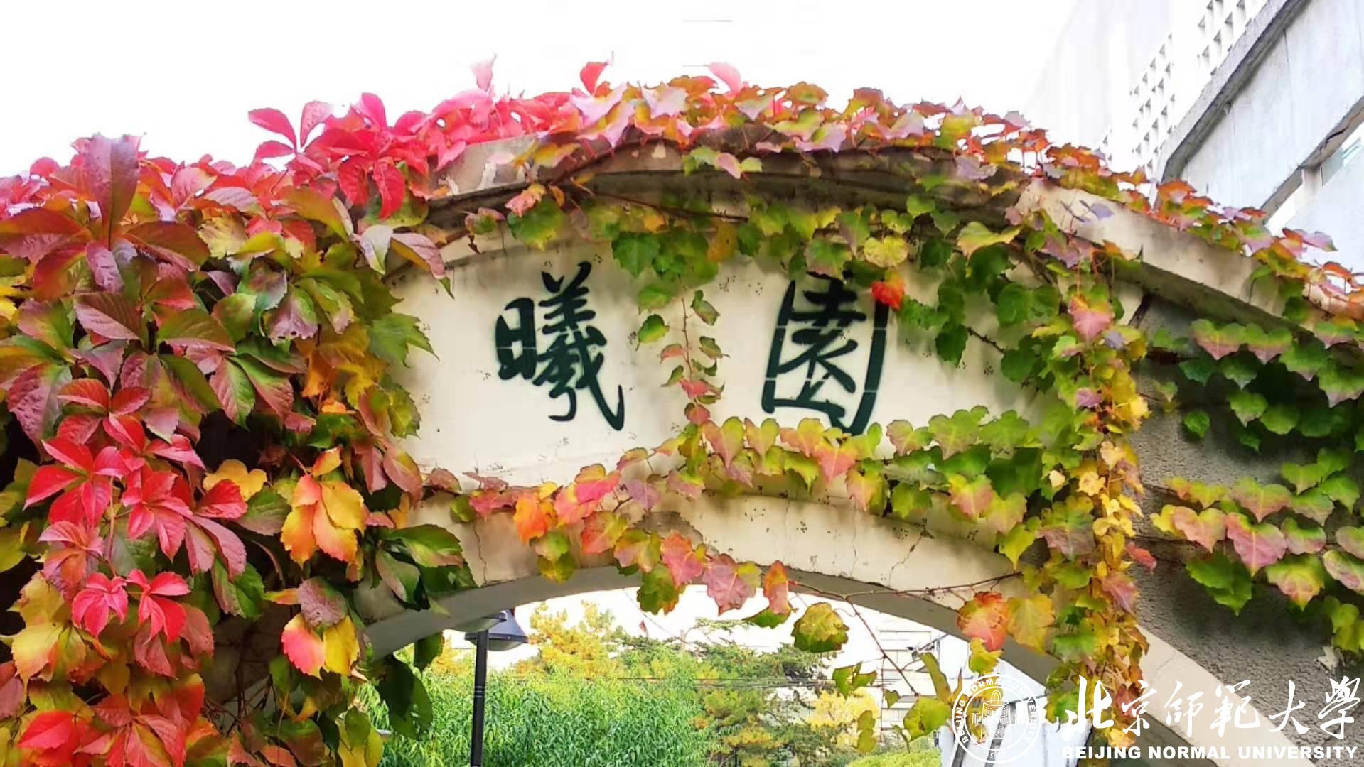 永利app官网登录入口最新活动