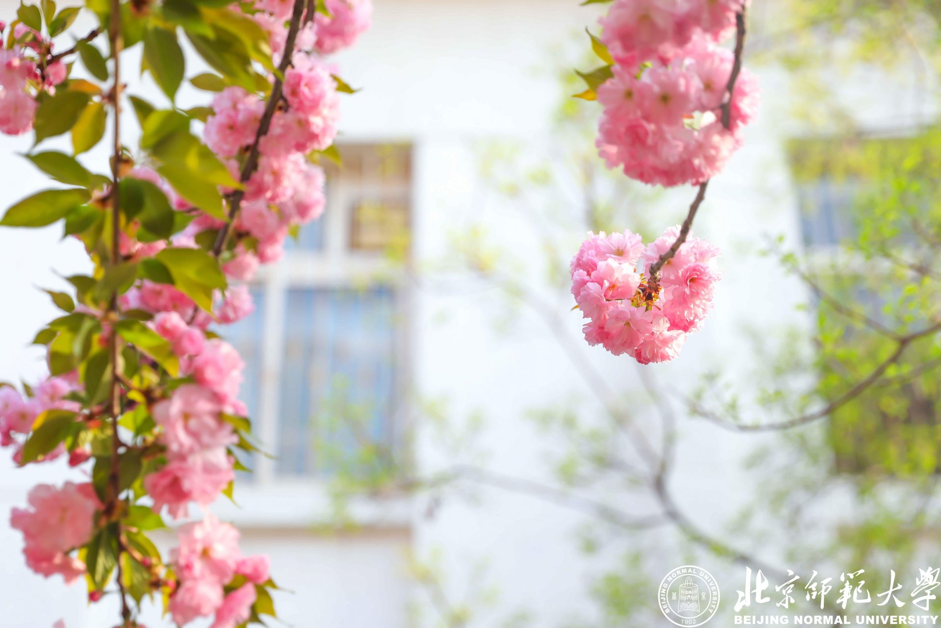 永利欢乐娱人城安全访问怎么弄